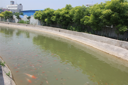 地礦駕校環(huán)境舒適、學車方便